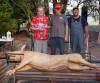 Pig Roast